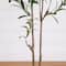 5ft. Artificial Minimalist Olive Tree in White Decorative Planter